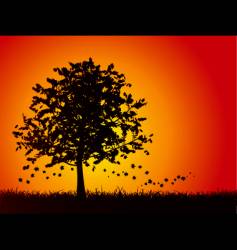 Autumn tree vector image