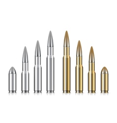 Set of bullets vector image
