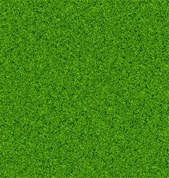Seamless grass field vector image