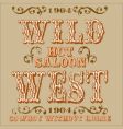 Wild west design vector image