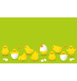 Chickens vector image