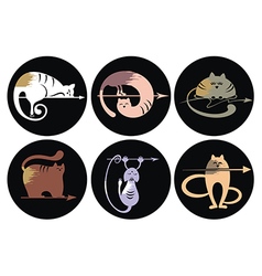 Set of cats Silhouettes vector image