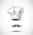 Accessories cook vector image