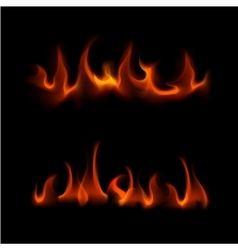 Green magic fire flame bonfire Royalty Free Vector Image