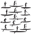 SUP Stand Up Paddle Boarding vector image