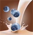 Milk and blueberries vector image