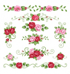 Roses collection vector image