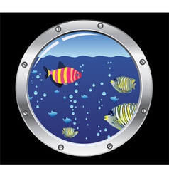 Porthole and colorful fishes vector image
