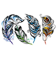 Feathers vector image