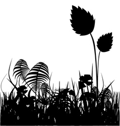 Plants silhouette vector image