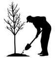 Tree planting Tree planting vector image