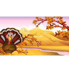 Autumn turkey vector image