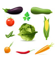 Set of icons vegetables vector image