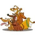 Funny dogs vector image