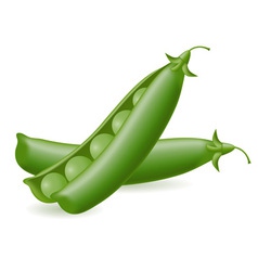 Peas object vector image