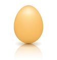 Brown Egg with Reflection vector image