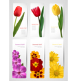 Set of banners with colorful flowers vector image
