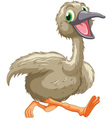 Emu cartoon vector image
