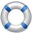 Life buoy vector image