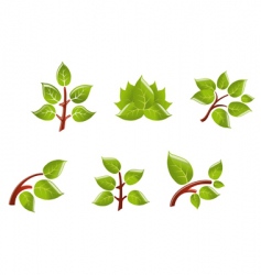 Leaves on branch vector image