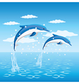 Dolphins vector image