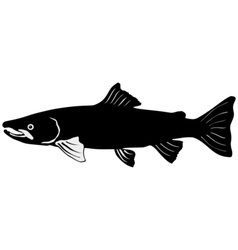 Silhouette of salmon vector image