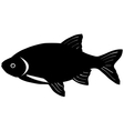 Silhouette of rudd vector image