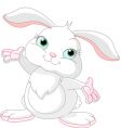 Happy bunny vector image