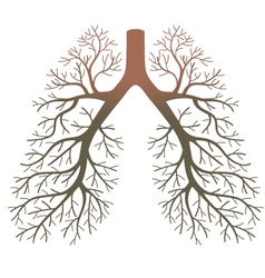 Lung patients vector image