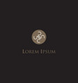 Luxurious concept icon vector image