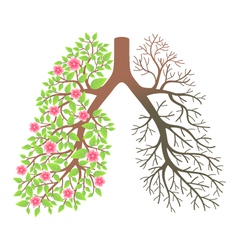 Lungs vector image