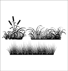 Grass vector image