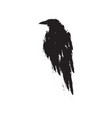 Black raven Black raven vector image