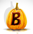 Halloween Pumpkin B vector image