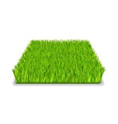 Green grass Green grass vector image