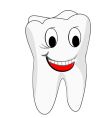 White teeth vector image