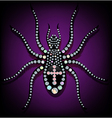 Brilliant spider vector image