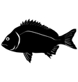Silhouette of bream vector image