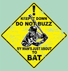 Crack baseball about to bat vector image