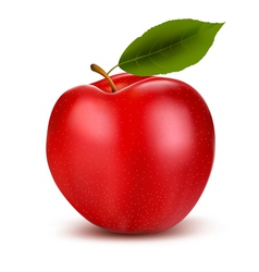 Set of red and green apple fruits with cut and vector image