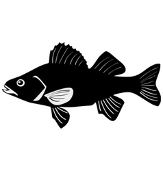Silhouette of perch Silhouette of perch vector image