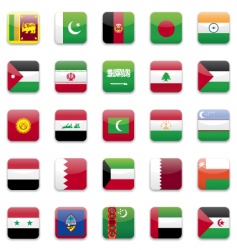 Asia flag vector image