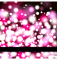 Neon Banner Neon Banner vector image