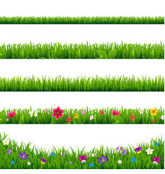 Grass borders set vector image