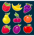 Colorful Yummy Fruit Icons vector image