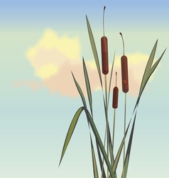 Cane and small insects vector image