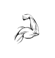 Arm muscles vector image