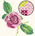 Rose Coarse Muslin vector image