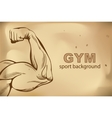 Arm muscles vector image