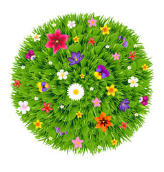 Green ball with flowers vector image